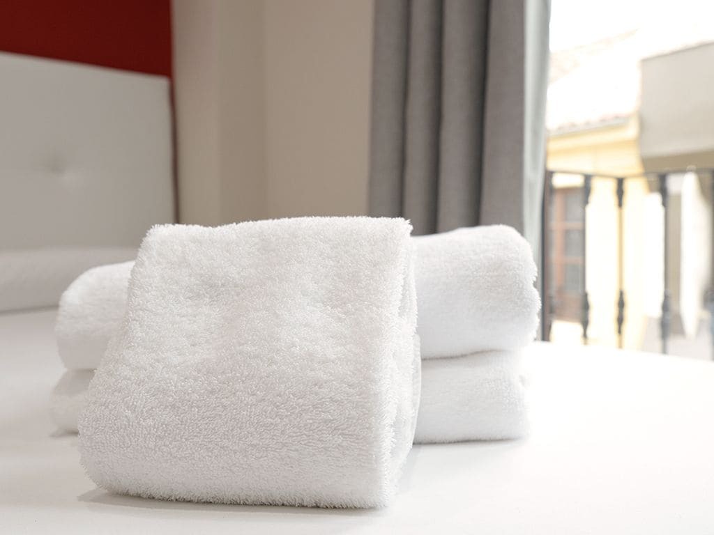 Apartamento Mesones 18 3000